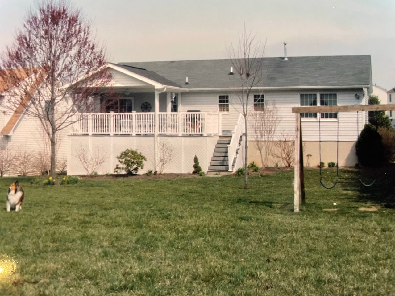 A home with a dog running in the yard. The deck made with Trex is leading up to the home with an attractive white Trex railing lining the deck.